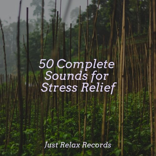 50 Complete Sounds for Stress Relief