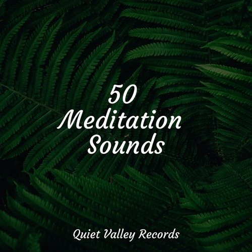 50 Meditation Sounds