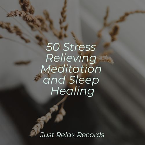 50 Stress Relieving Meditation and Sleep Healing_poster_image