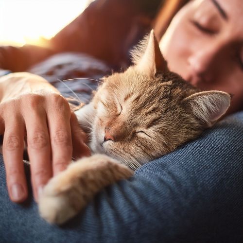 Melodías Suaves Para Animales cover art