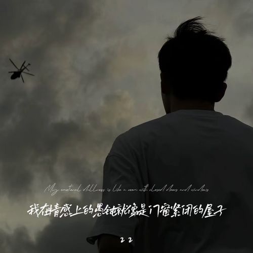 我在情感上的愚钝就像是门窗紧闭的屋子_poster_image