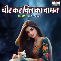 Cheer Kar Dil Ka Daman-QwolCDd2QH8