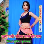 Chhaye gayo patiya vale ko nam