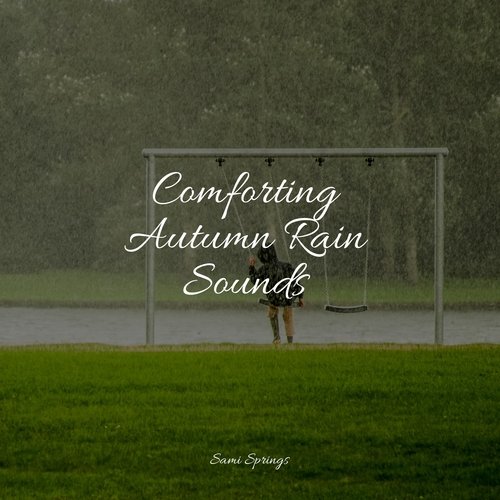 Comforting Autumn Rain Sounds