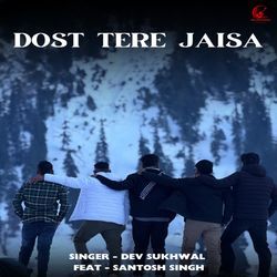 Dost Tere Jaisa