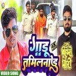 Gandu tamilandu (Bhojpuri)