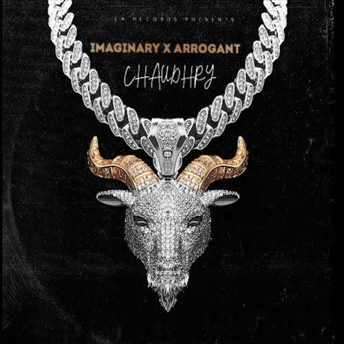 IMAGINARY X ARROGANT