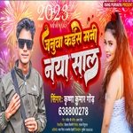 Januva kaise manni naya sal