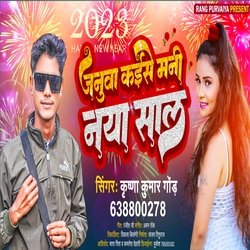 Januva kaise manni naya sal