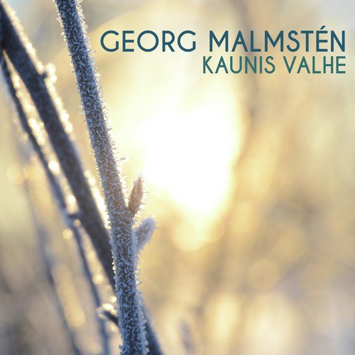 Kaunis Valhe_poster_image