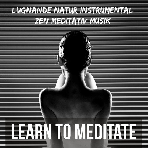 Learn to Meditate - Lugnande Natur Instrumental Zen Meditativ Musik för Djup Koncentration Fokus och Sömnlöshet Behandling_poster_image