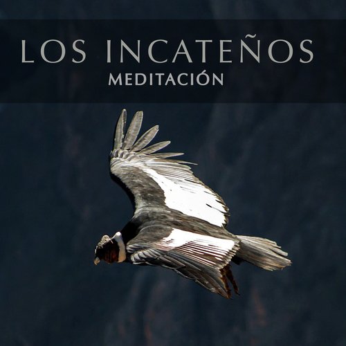 Pastor Solitario cover art