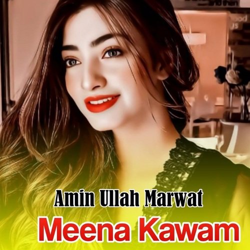 Meena Kawam_poster_image