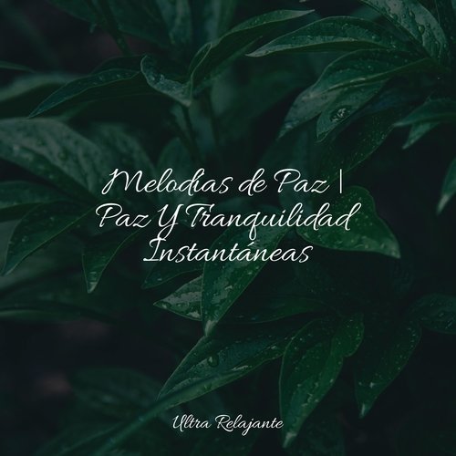 Melodías de Paz | Paz Y Tranquilidad Instantáneas