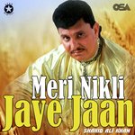 Meri Nikli Jaye Jaan