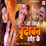 NA JA VRINDAVAN CHHOD KE (HINDI BHAJAN)
