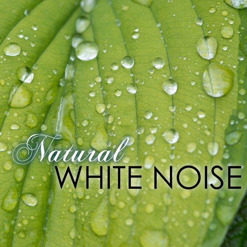 Natural White Noise Relaxation Masters