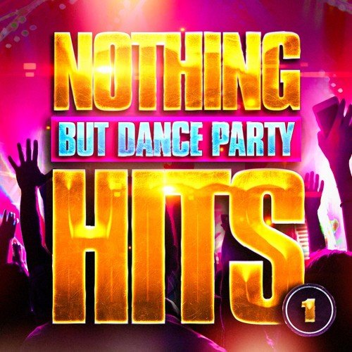 Nothing But Dance Party Hits, Vol. 1