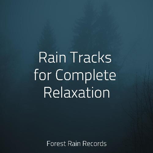 Rain, Storm and Thunder cover art