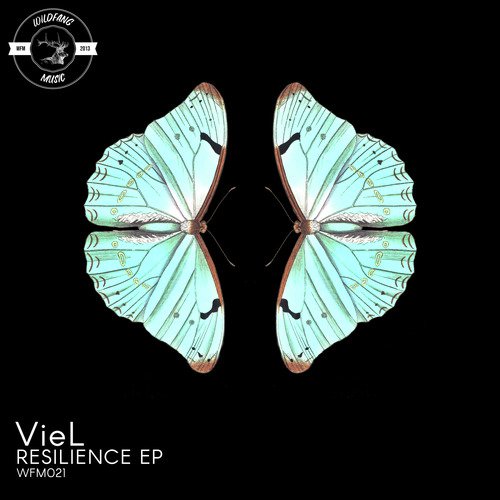 Resilience (Shunus Remix)