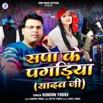 Sapa Ke Pagadiya Yadav Ji
