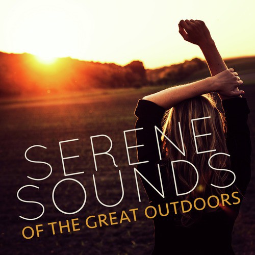 Serene Sounds of the Great Outdoors_poster_image