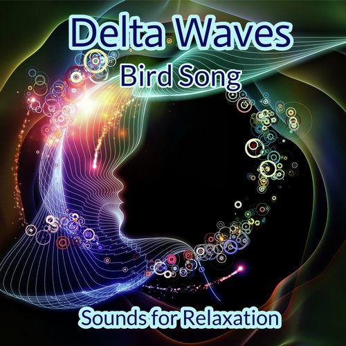 Sounds for Relaxation - Bird Song