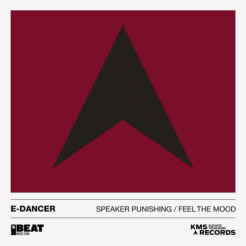 Speaker Punishing / Feel The Mood