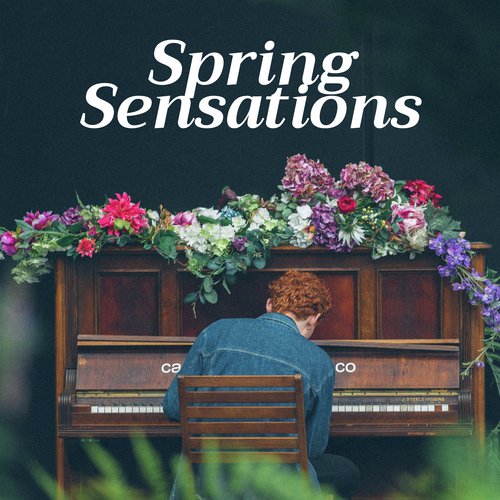 Spring Sensations - Positive Energy Playlist