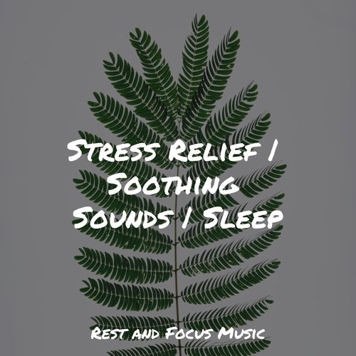 Relaxing Beats cover art