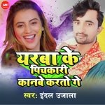 Yarba Ke Pichkariya Kanbe Krto Ge (maghi)