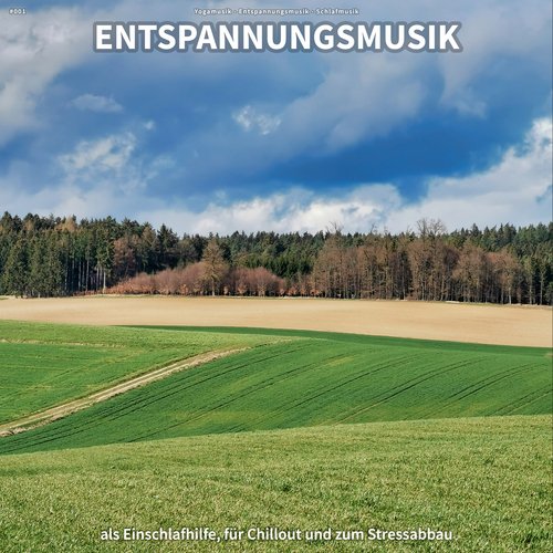 #001 Entspannungsmusik als Einschlafhilfe, für Chillout und zum Stressabbau