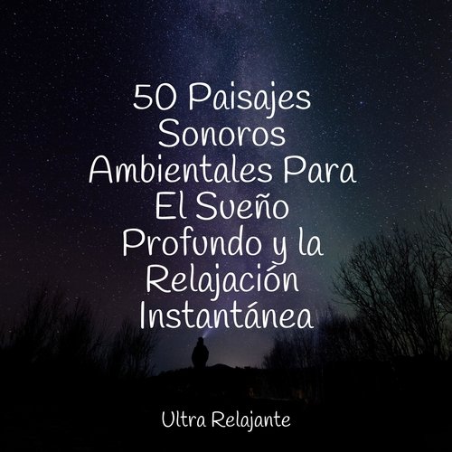 50 Paisajes Sonoros Ambientales Para El Sueño Profundo y la Relajación Instantánea_poster_image