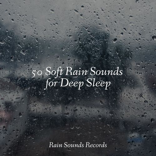 50 Soft Rain Sounds for Deep Sleep