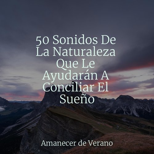 Flores Nómadas cover art