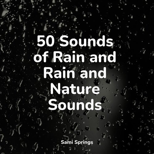 Rain, Storm and Thunder cover art