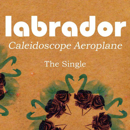 Caleidoscope Aeroplane