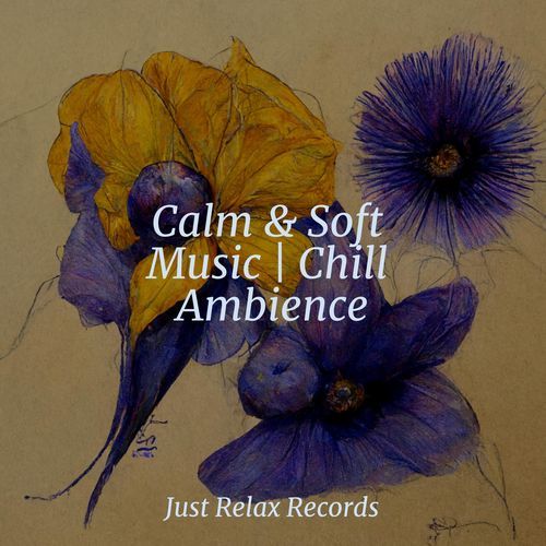 Calm & Soft Music | Chill Ambience