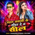Chadhal Jabani Ke Toir De Na Shil