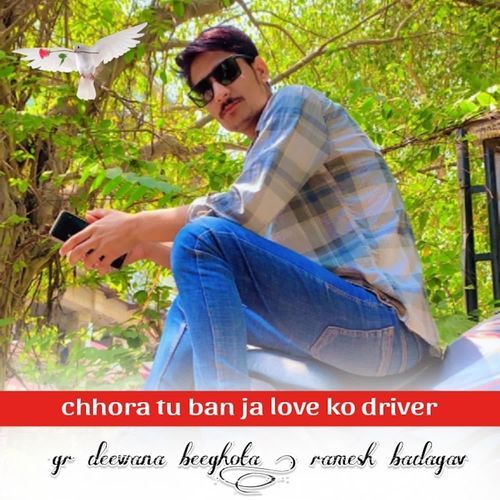 Chhora Tu Ban Ja Love Ko Driver