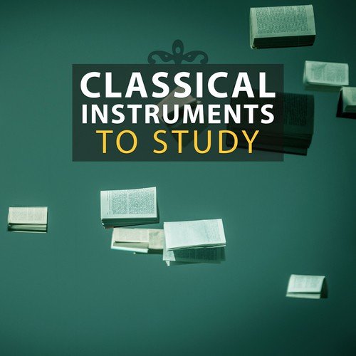 Effective Exam Study Music Academy