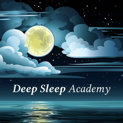 Deep Sleep Academy cover art