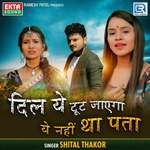 Dil Ye Tut Jayega Ye Nahi Tha Pata