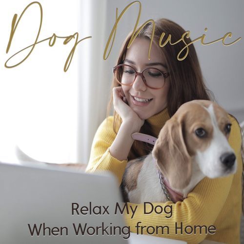 Relaxing Instrumental cover art