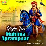 Gogaji Teri Mahima Aprampaar