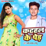 Kathal Ke Ped