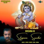 Krishna Hi Shyama Sundar
