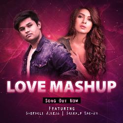 Love Mashup (Pop Mix)