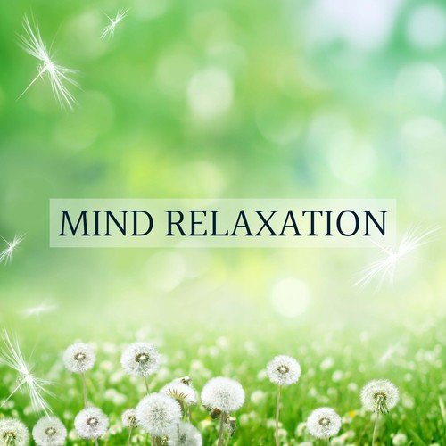 Sounds of Nature White Noise Relaxation Meditation