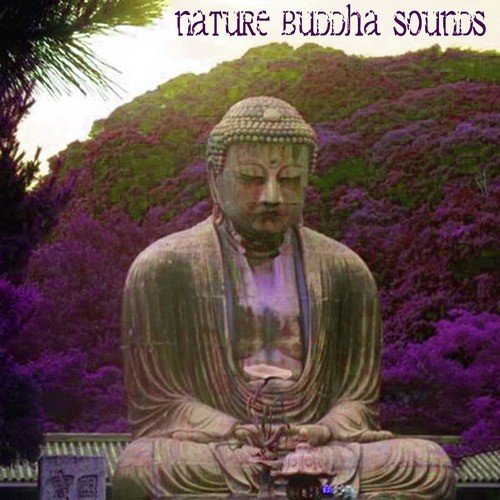 Nature Buddha Sounds_poster_image